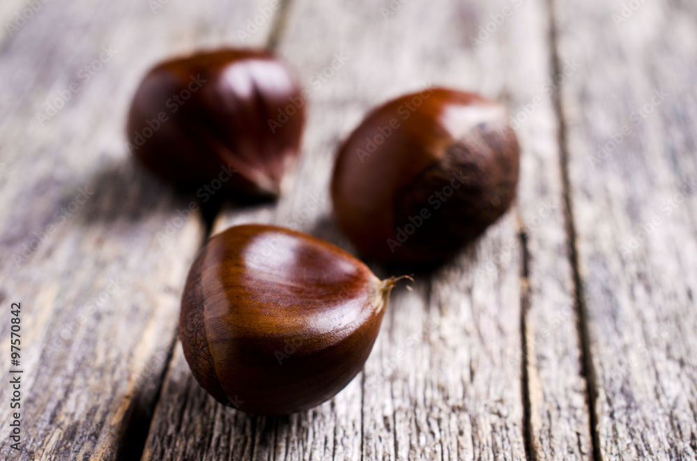 Obraz premium Ripe large chestnuts