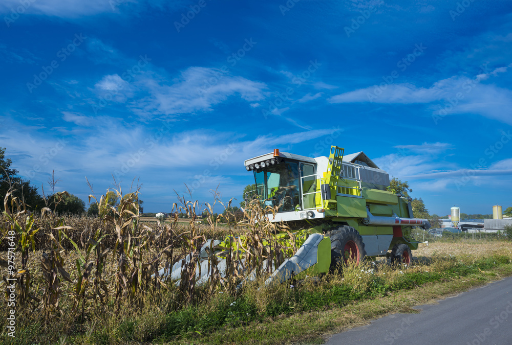 Fototapeta premium Corn harvesting machines used for harvesting_Baden Baden_Souther