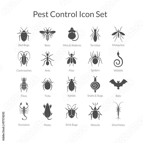 Vector set of icons with insects for pest control business