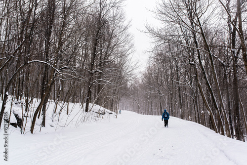 person walking alone in the Mont-royal park of Montreal under a snow storm in canada