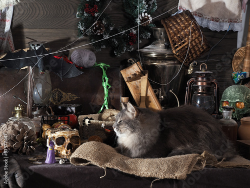 Натюрморт с котом. Множество разных старых предметов - часы будильник, керосиновые лампы, самовар, сломанные игрушки, коробки и шкатулки, черепа, нитки. Новогодний венок и летучая мышь. 