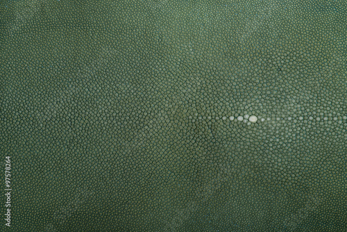 Valokuva stingray leather, color for background