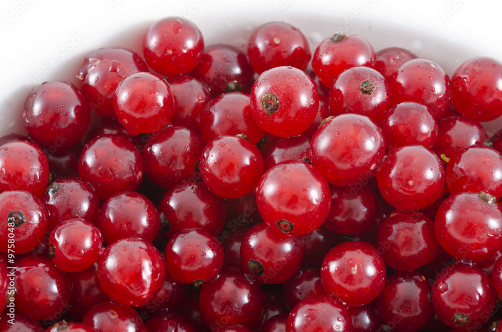 Rote Johannisbeeren