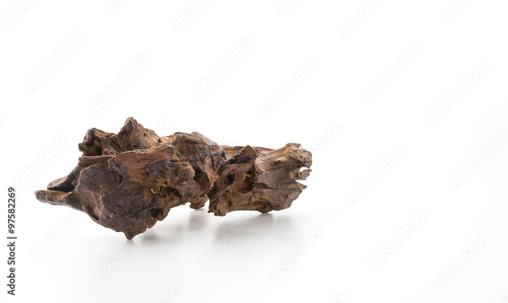 beautiful log beautiful log