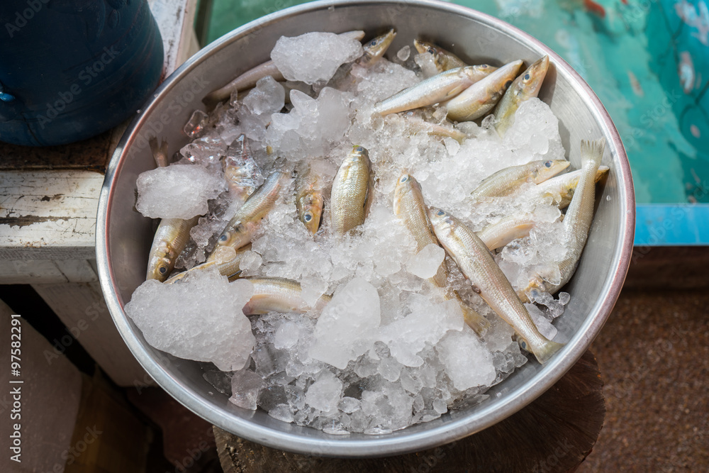 cold sea food small raw fresh fish laying on ice in market cold sea food small raw fresh fish laying on ice in market