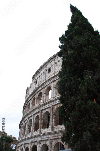 Colosseum in Rome Italy photo