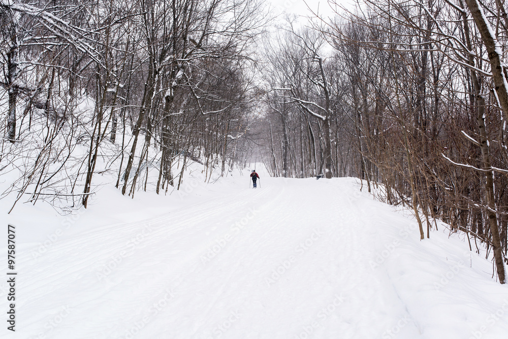 people skiing in the Mont-royal park of Montreal under a snow storm in canada people skiing in the Mont-royal park of Montreal under a snow storm in canada