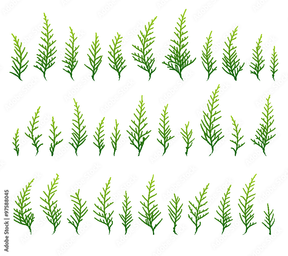 set of green grass background set of green grass background