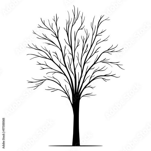 Vector tree silhouette