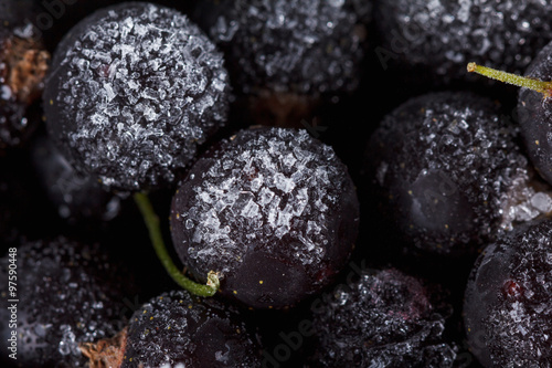 Black currant with ice