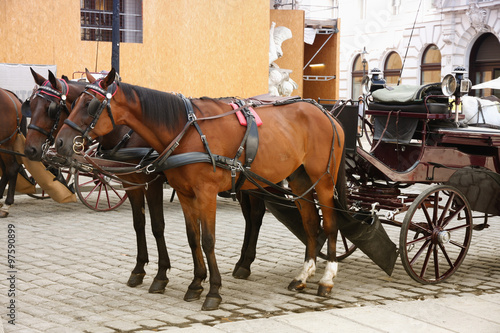 Horse-driven carriage at Hofburg palace, Vienna, Austria