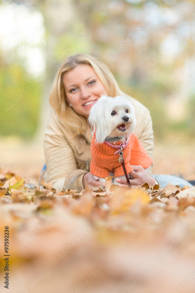 Young woman and her cute little Maltese dog playing among autumn leaves in a park Young woman and her cute little Maltese dog playing among autumn leaves in a park