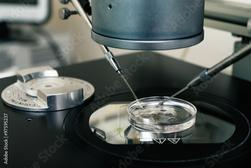  Embryologist transferring   eggs for in vitro fertilization process. Equipment on laboratory of Fertilization, IVF.