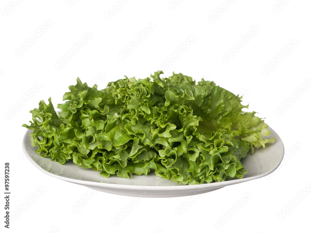 Green lettuce on white plate isolated on white Green lettuce on white plate isolated on white
