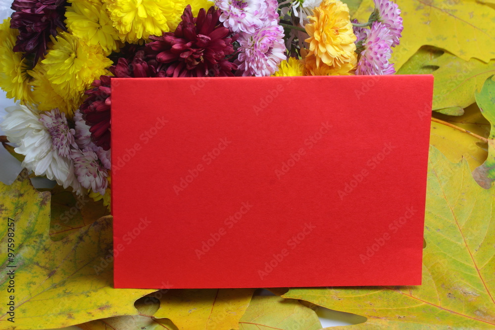 Obraz premium congratulation with autumn