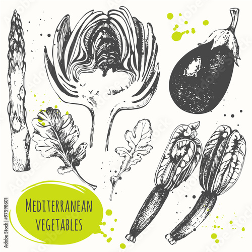 Set of hand drawn flower zucchini, artichoke, eggplant, arugula, asparagus. 