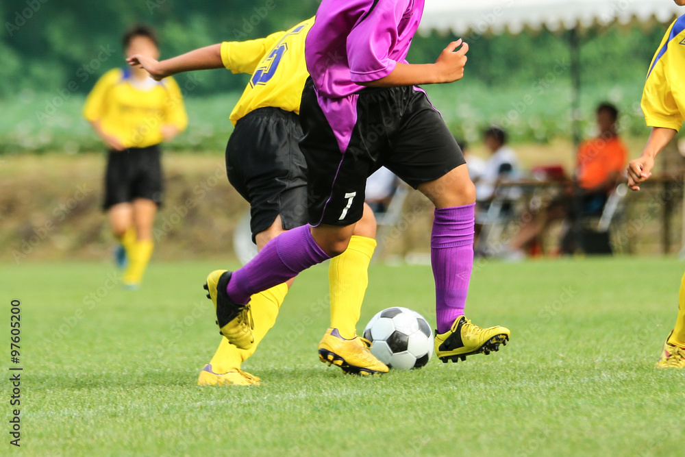 Obraz premium Piłka nożna