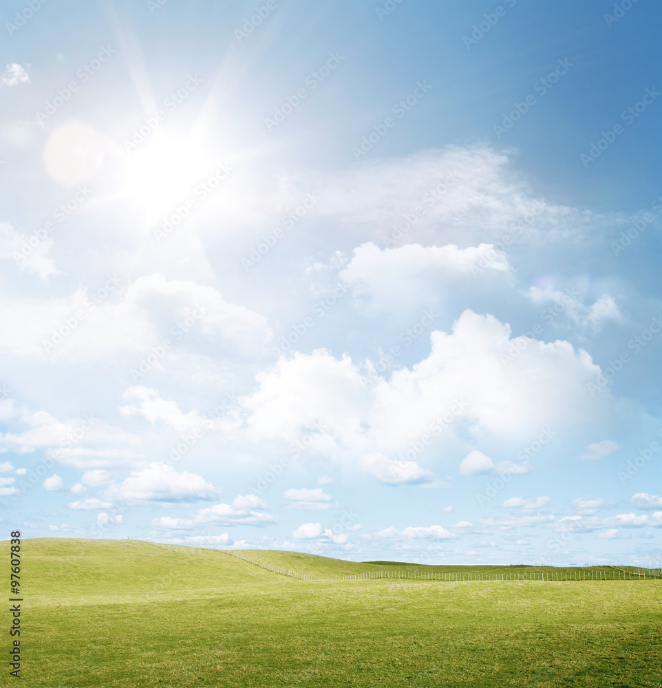 Empty field of green grass, sun light shining in blue sky