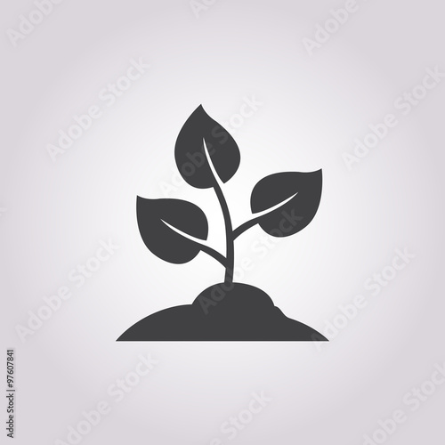 sprout icon on white background