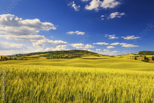 Tuscany spring  Pienza medieval village and wheat. Siena  Italy