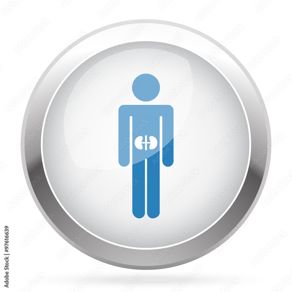 Blue Kidneys icon on white glossy chrome app button Blue Kidneys icon on white glossy chrome app button