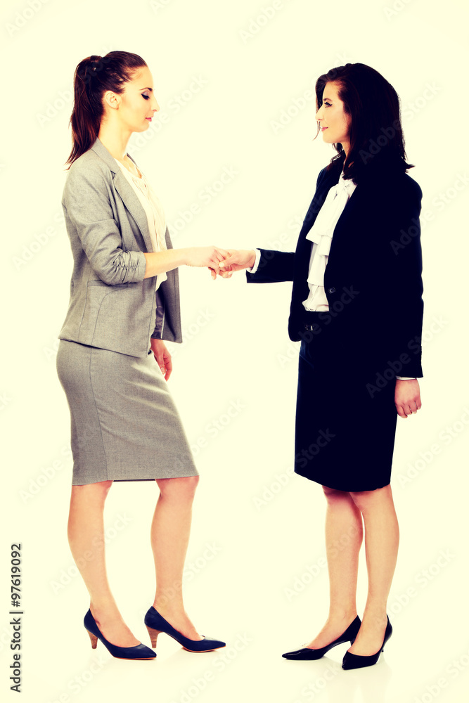 Two women in office outfits giving handshake. Two women in office outfits giving handshake.