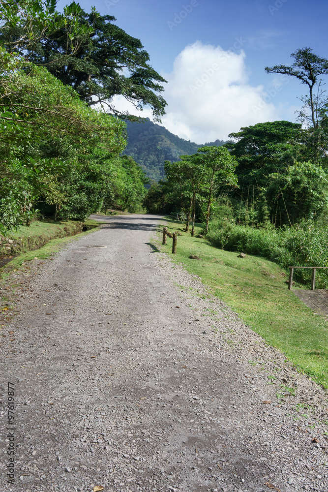Empty road passing through forest, Costa Rica