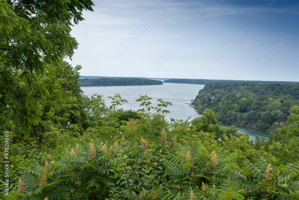 Scenic view of river in forest against sky