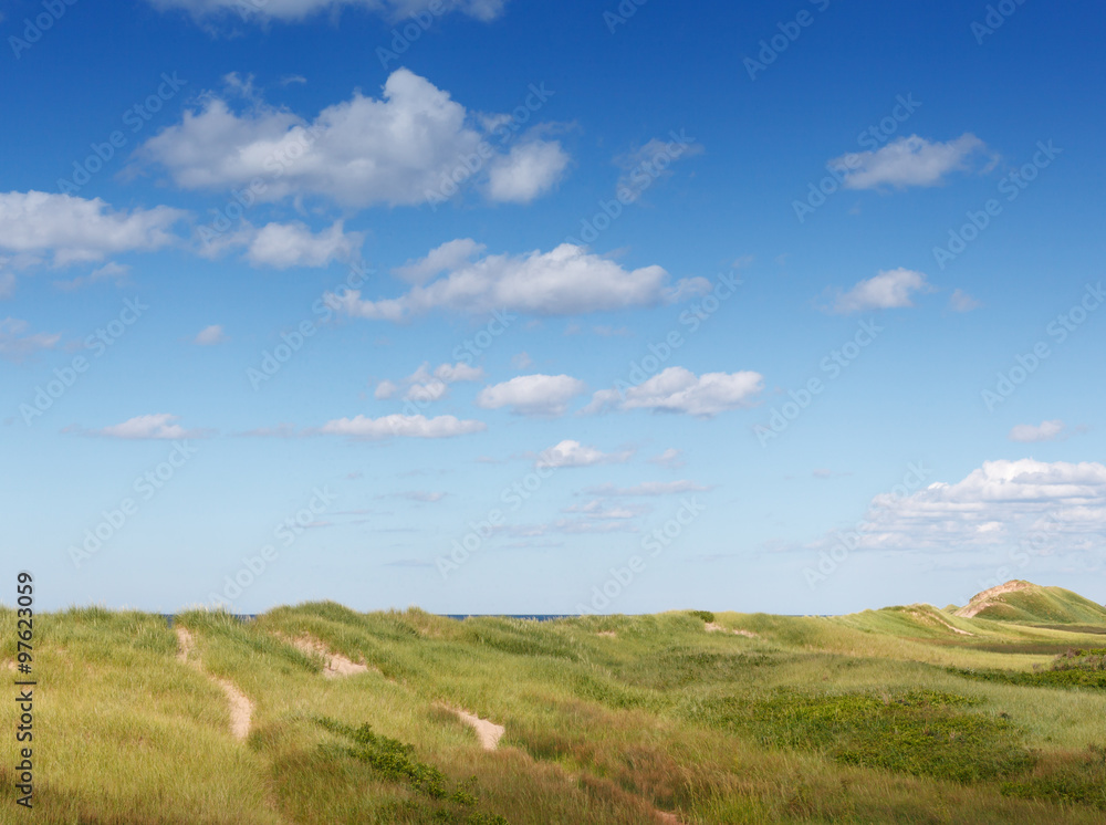 Green grass growing on coast, Prince Edward Island, Canada Green grass growing on coast, Prince Edward Island, Canada