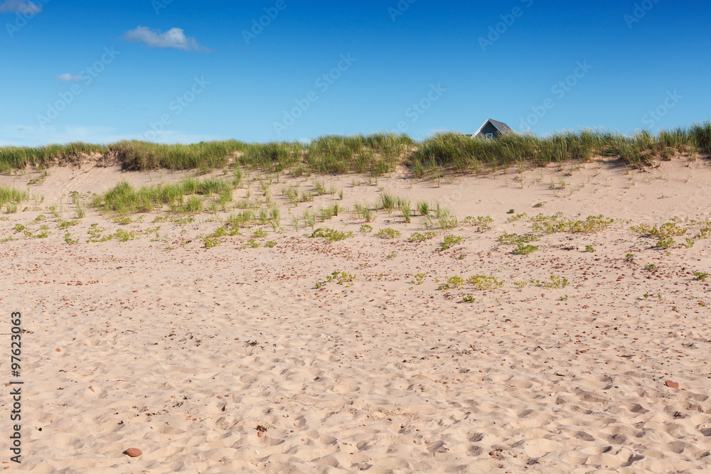 Scenic view of sandy beach, Prince Edward Island, Canada