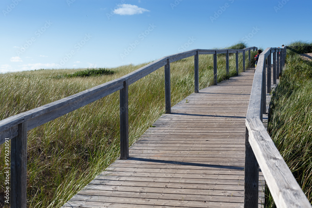 Boardwalk passing through landscape, Prince Edward Island, Canada