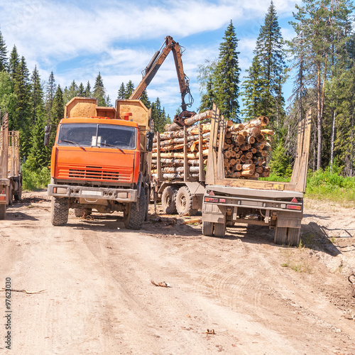 Schilderij op canvas Tree crop harvester stands on dirty road and stows logs in timber lorry