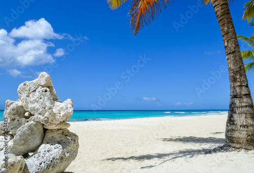 Obraz na płótnie Rock Formation and Palm Tree on Exotic Caribbean Beach w salonie