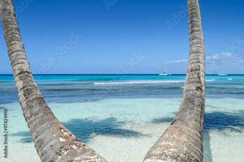 Palm Trees on Tropical Beach with Crystal Water and White Sand