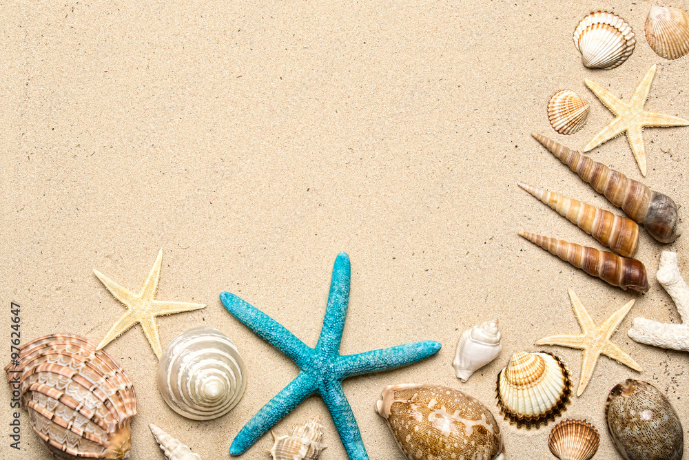Sea shells on sand. Summer beach background. Top view