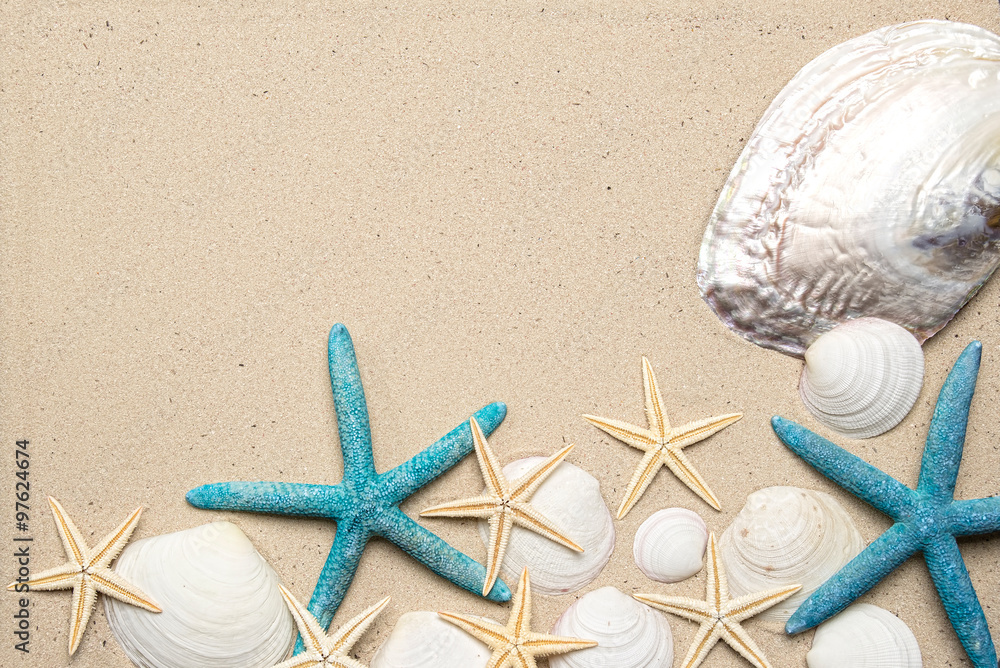 Sea shells on sand. Summer beach background. Top view