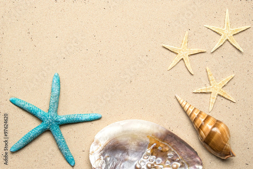 Sea shells on sand. Summer beach background. Top view