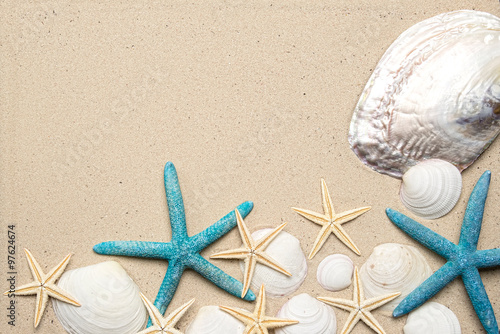 Obraz na płótnie Sea shells on sand. Summer beach background. Top view w salonie