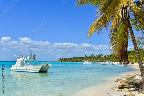 Catamaran and Palm Tree on Exotic Beach at Tropical Island