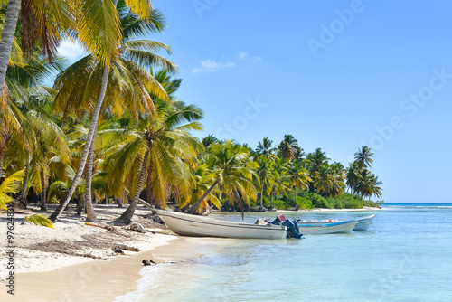 Boats and Palm Trees on Exotic Beach at Tropical Island