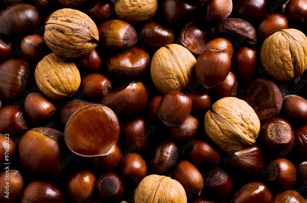 Fototapeta premium Background of various nuts