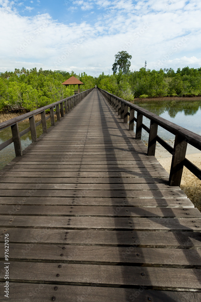 Indonesian landscape with walkway