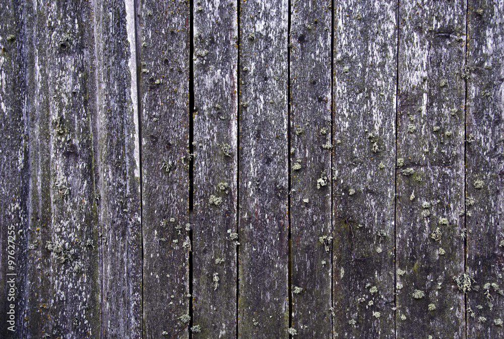 Obraz premium Background with wooden wall