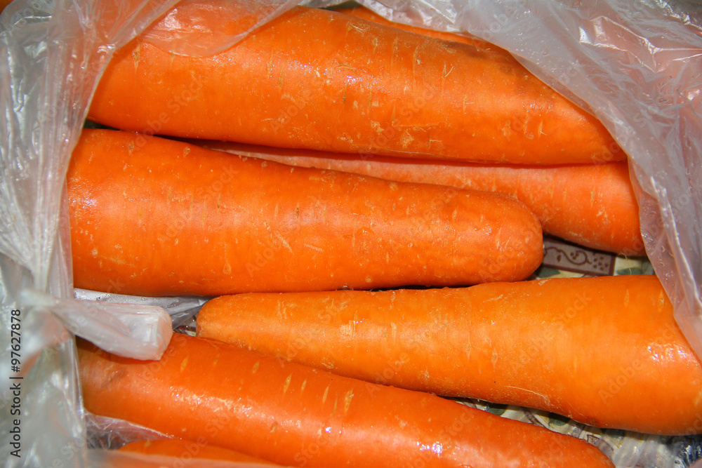 Carrots / Close up picture of carrot Carrots / Close up picture of carrot