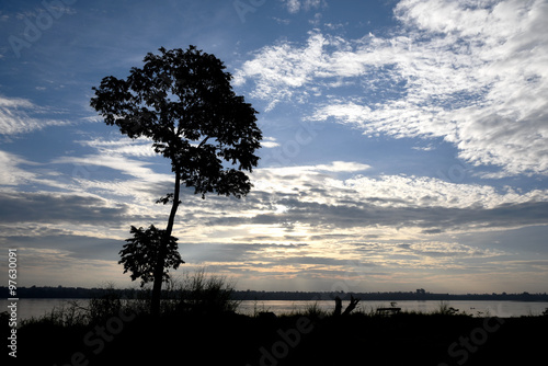 silhouette tree back sunrise in nature