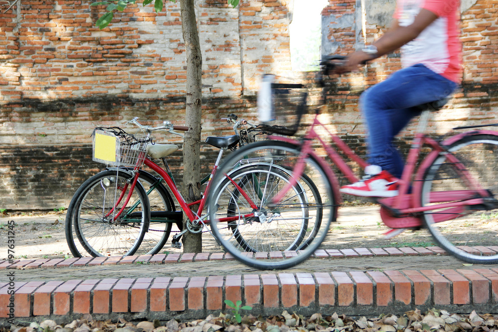 Bikes in the garden / Bicycles leaning against the tree at the ancient temple, Ayutthaya, Thailand