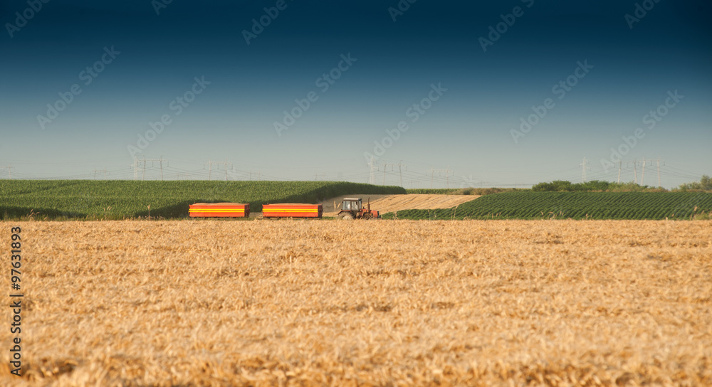 Fototapeta premium tractor 2