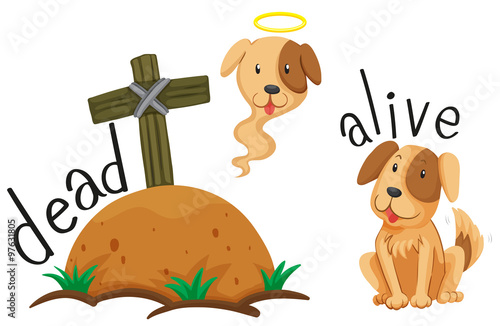 Dead dog under the ground and dog alive
