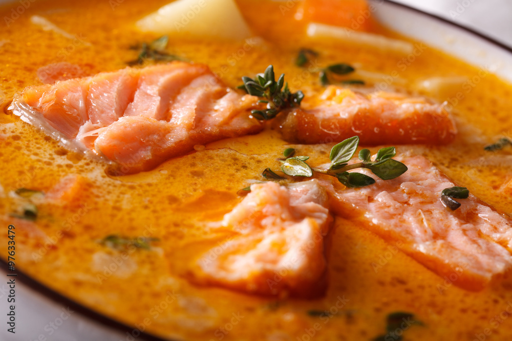 Salmon soup with thyme macro in a bowl. horizontal
Salmon soup with thyme macro in a bowl. horizontal