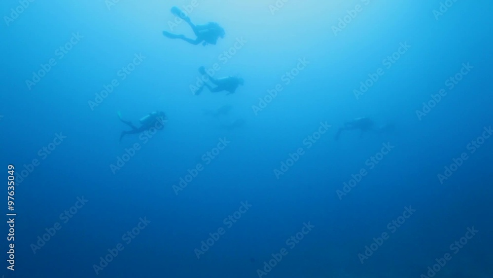 Group of Scuba Divers Swimming in Ocean Blue Group of Scuba Divers Swimming in Ocean Blue